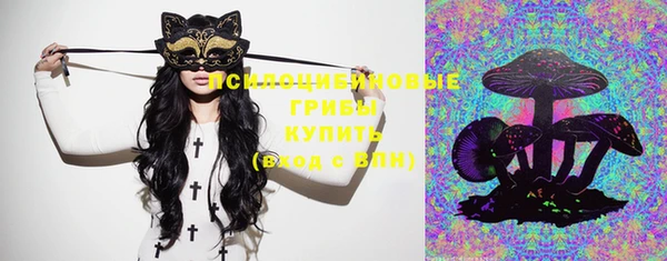 MDMA Premium VHQ Каменка